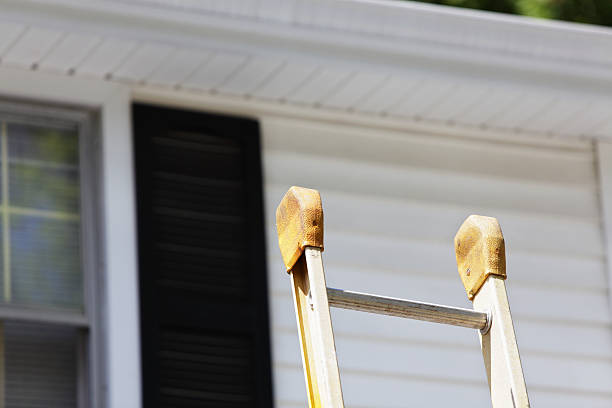 Best Siding Removal and Disposal  in Vernon, AL